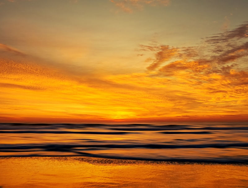 YELLOW MORNING