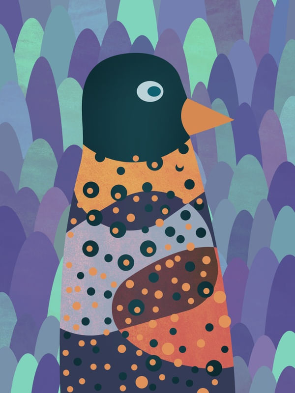 PINGUIM OBSERVADOR 2