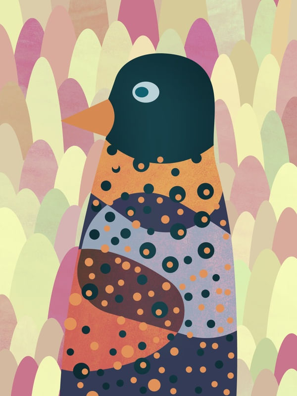 PINGUIM OBSERVADOR