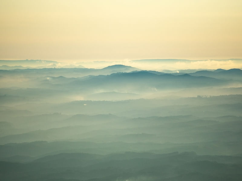 MORNING SHADES OF GREEN