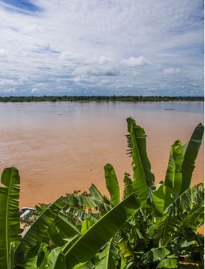 BANANEIRA EM RIO SÃO FRANCISCO