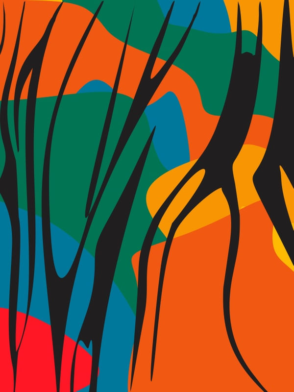 AFRICAN COLOR