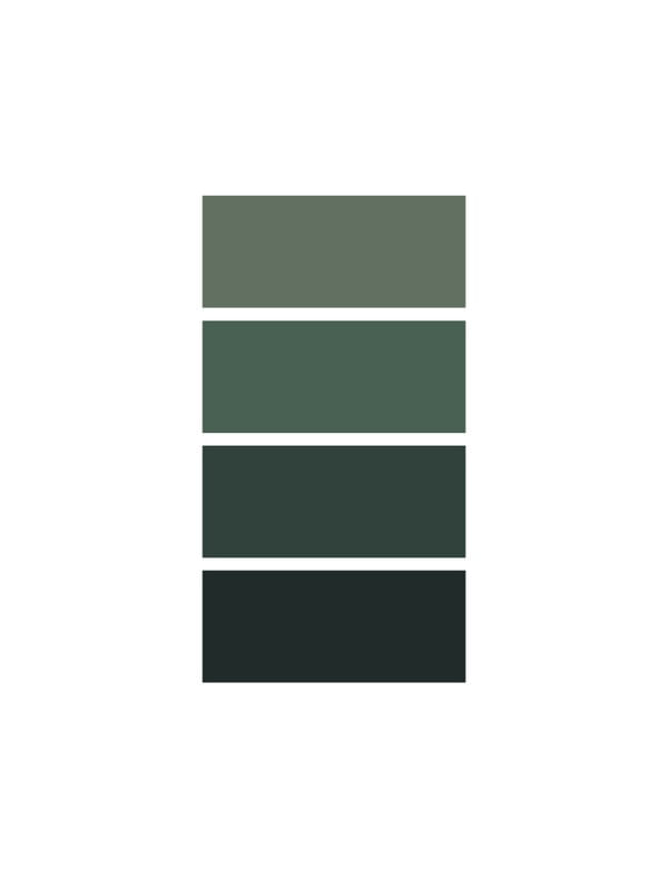 GREENISH - PALETA