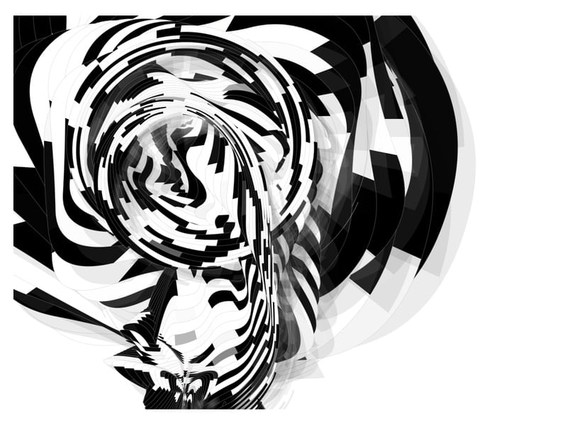 B&W FLOWER
