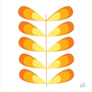 PAPILLONPOP