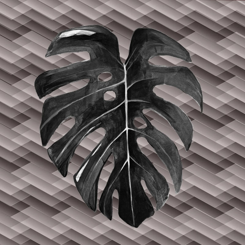VIBRAÇÃO TROPICAL