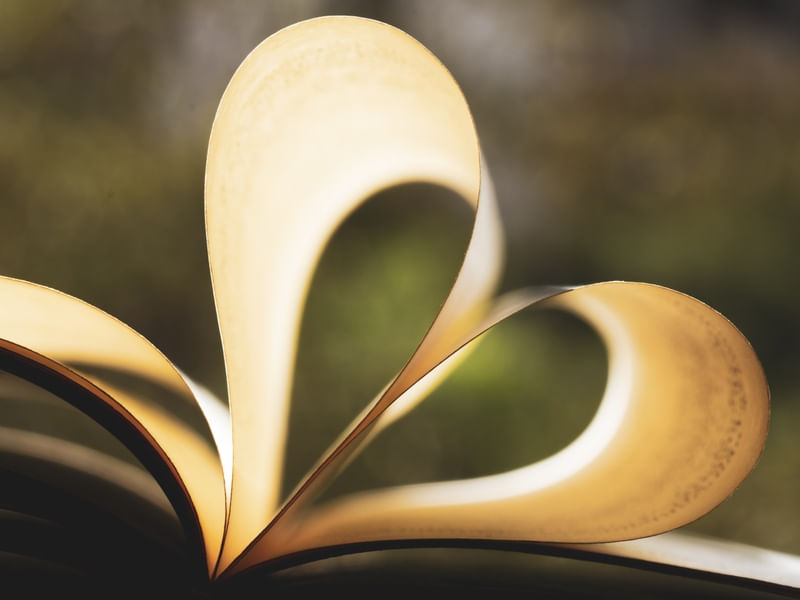 AMOR POR LEITURA