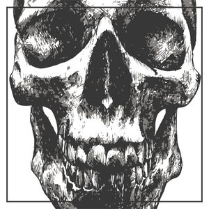 BLACK AND WHITE SKULL SKETCH