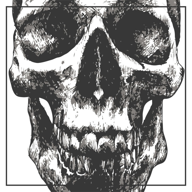 BLACK AND WHITE SKULL SKETCH