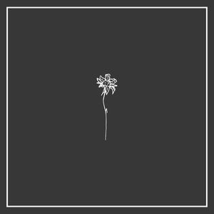 BLACK AND WHITE MINIMALISTIC SUNFLOWER