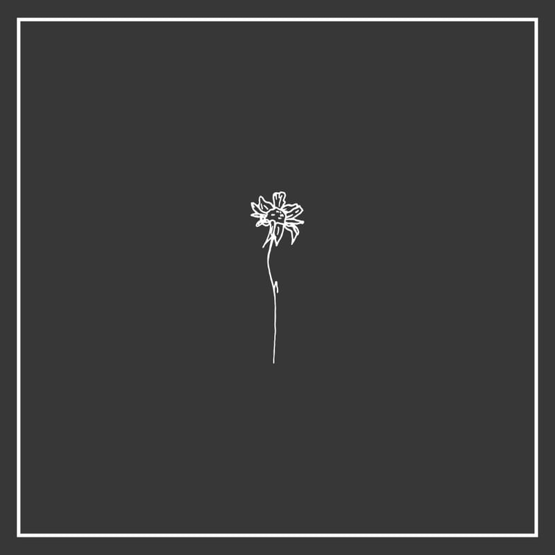 BLACK AND WHITE MINIMALISTIC SUNFLOWER