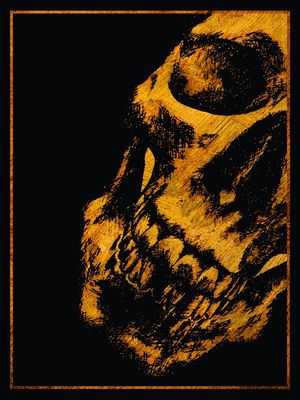GOLDEN HALF SKULL ON BLACK BACKGROUND