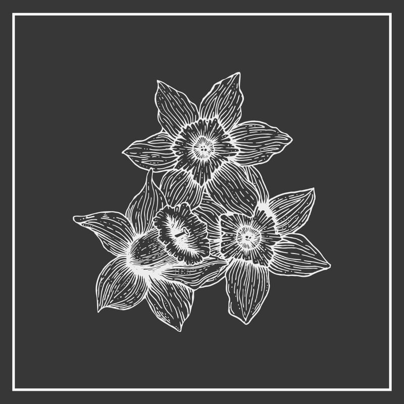 3 FLORES