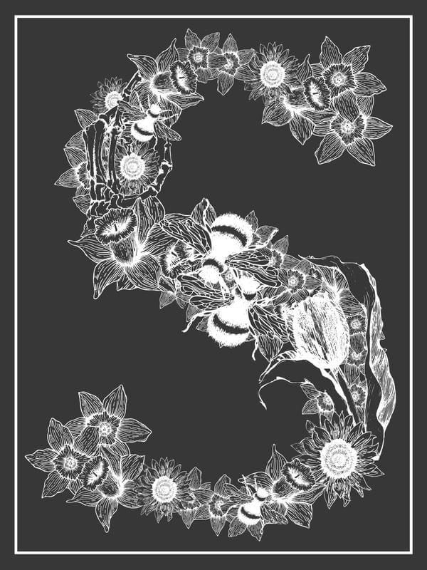 BLACK AND WHITE S