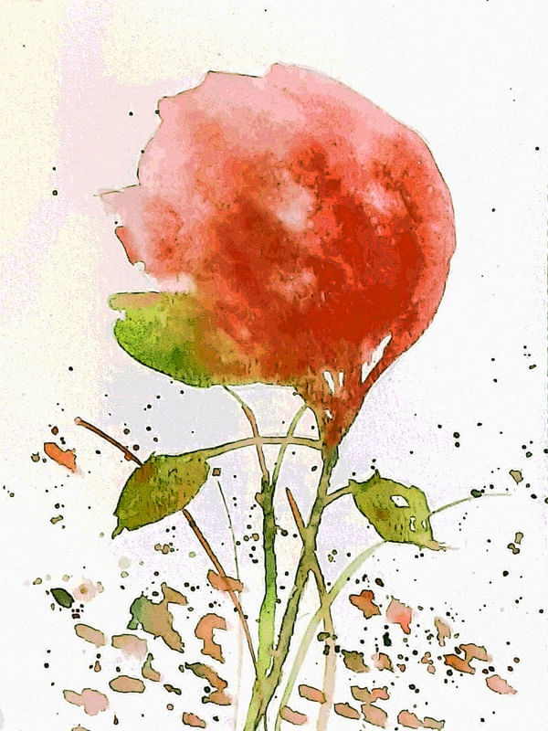 FLORAL 2 1105