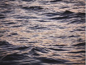 GOLDEN WATER