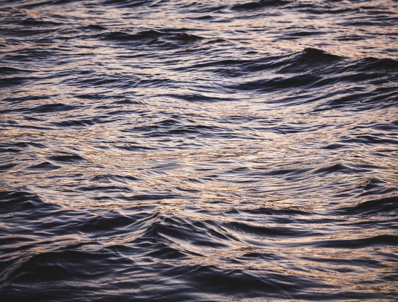 GOLDEN WATER