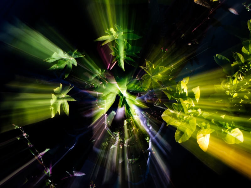 ZOOM_03