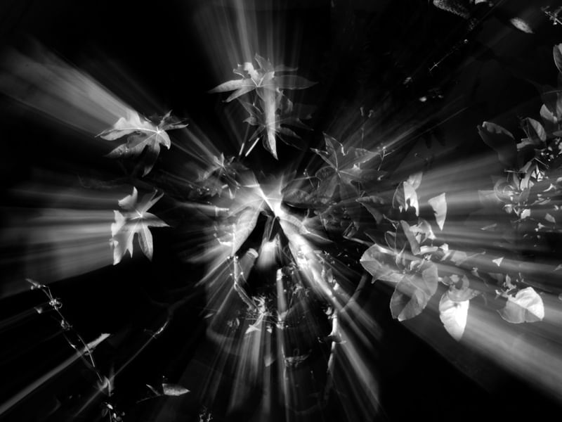 ZOOM_04