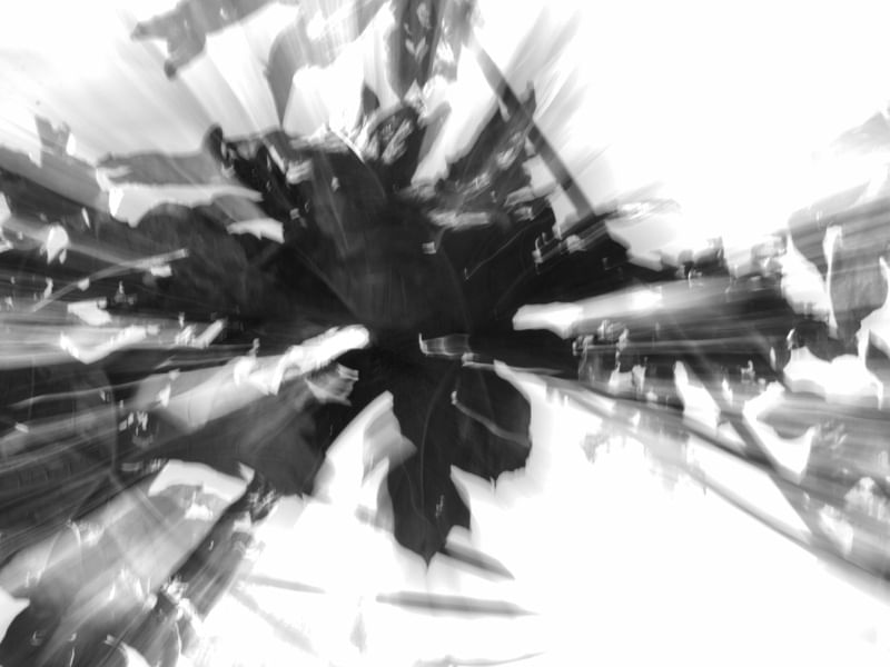ZOOM_05