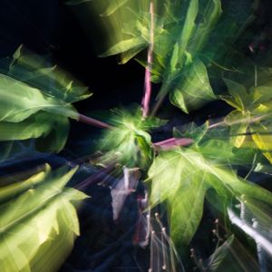 ZOOM_06