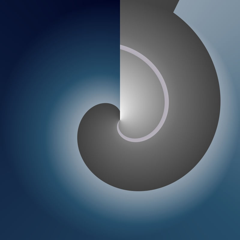 FOCUS VOSTRO_01