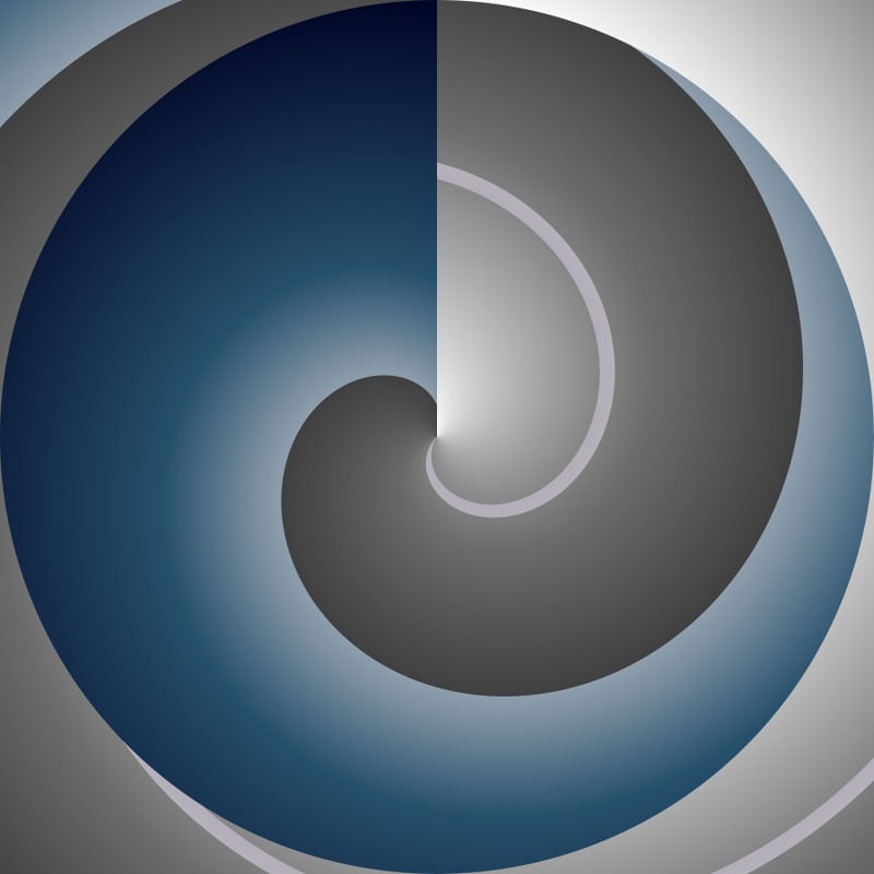 FOCUS VOSTRO_02