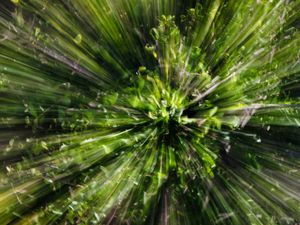 ZOOM_01
