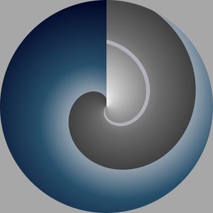 FOCUS VOSTRO_03