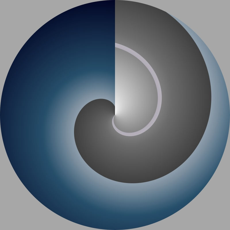 FOCUS VOSTRO_03