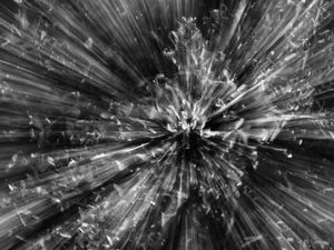 ZOOM_02