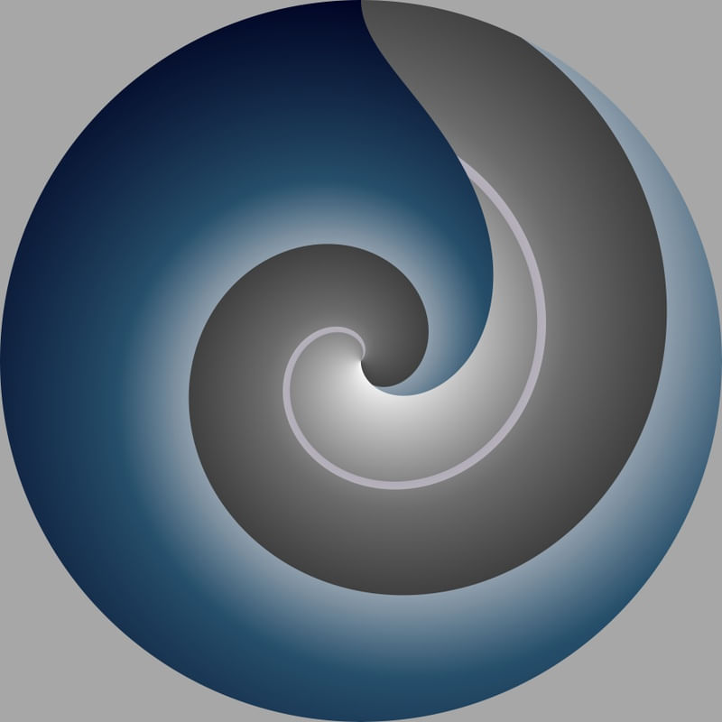 FOCUS VOSTRO_04