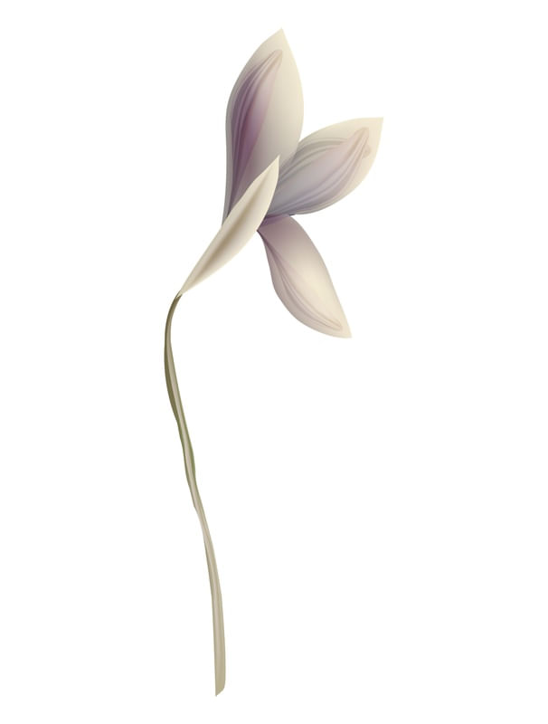 FLOR_AQUARELA_