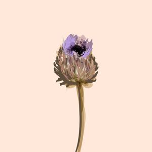 FLOR_AQUARELA