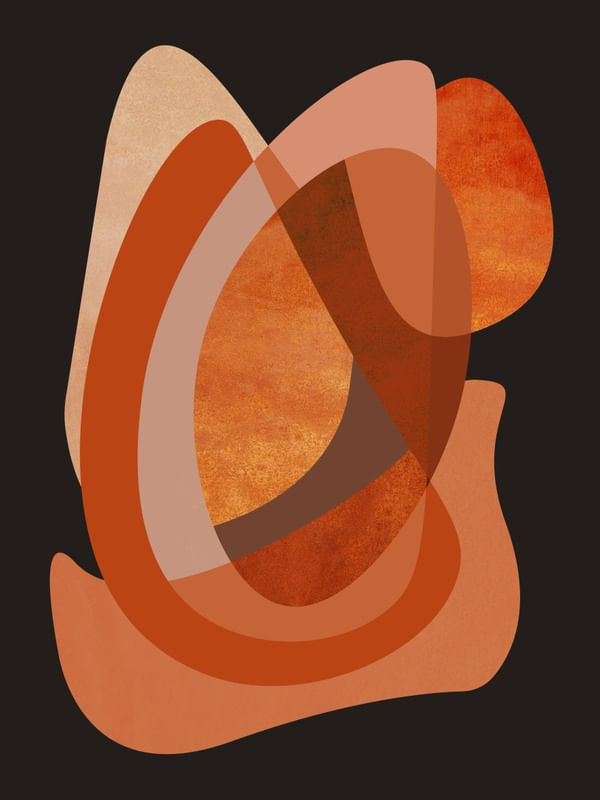 CONCHA LARANJA