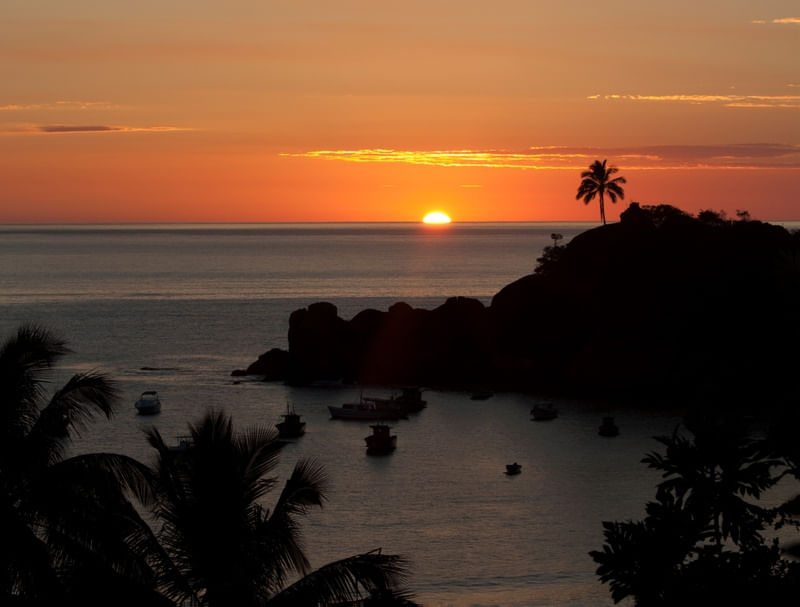 SOL NA ILHA