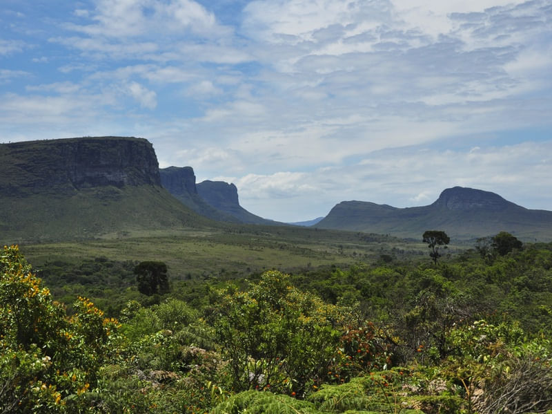 PARQUE NACIONAL DA CHAPADA DIAMANTINA