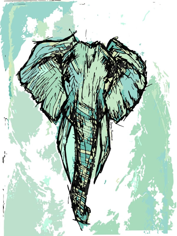 NATURE - ELEPHANT