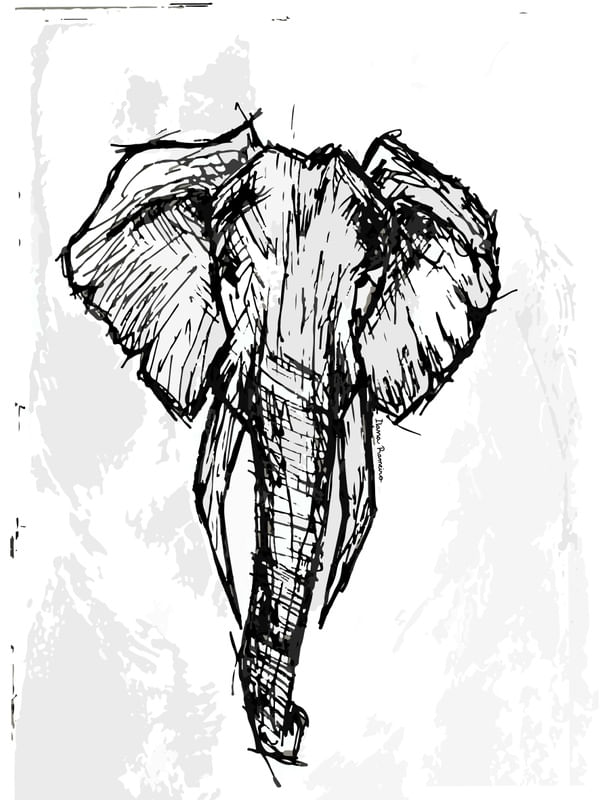 NATURAL - ELEPHANT