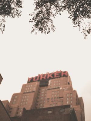 NEW YORKER VIBES