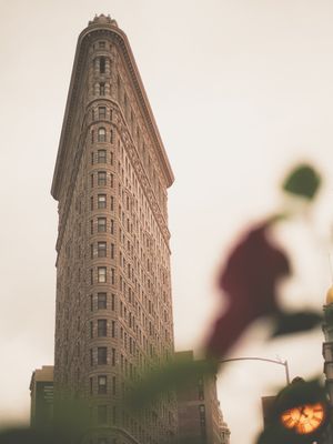 A FLOR DE MANHATTAN