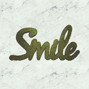 GREEN SMILE