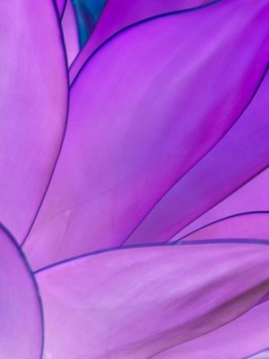 SUCULENTA SURREAL_2
