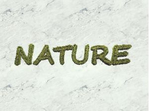 NATURE BACKGROUND