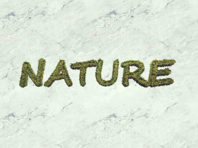NATURE BACKGROUND