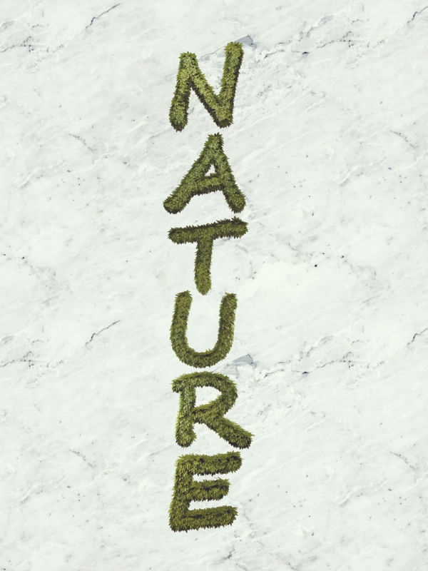 VERTICAL NATURE