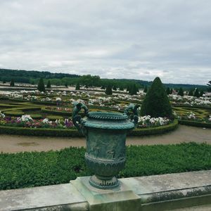 UM VASO NO JARDIM DE VERSAILLES