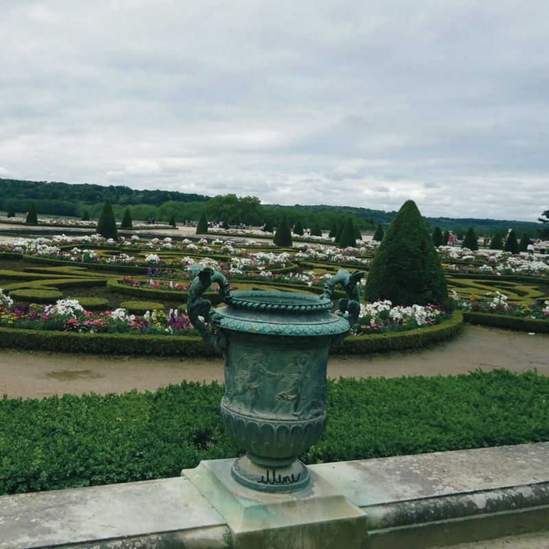 UM VASO NO JARDIM DE VERSAILLES