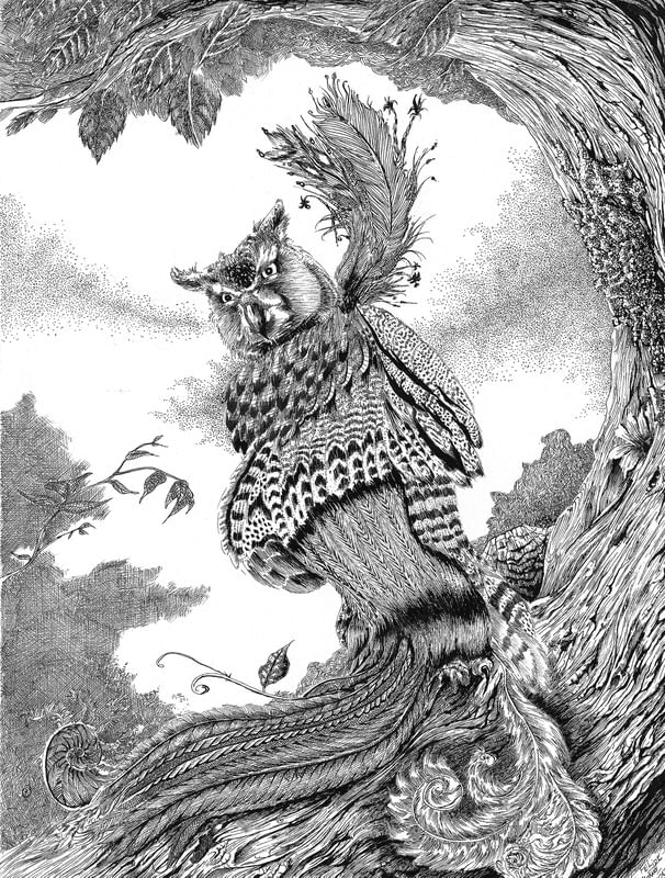 METAMORFOWL