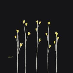FLORZINHAS ELEGANTES